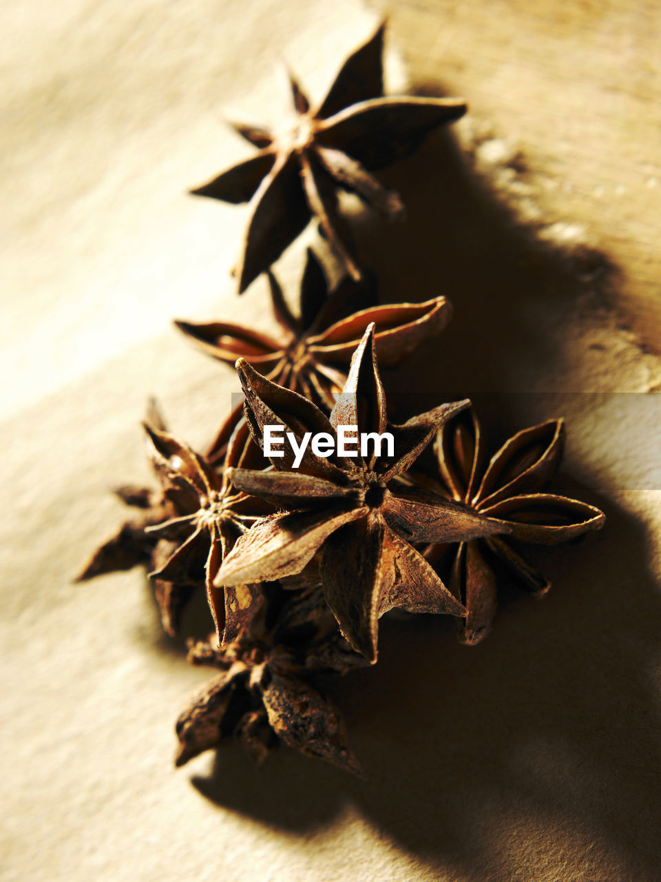 Close-up of star anise on wooden table