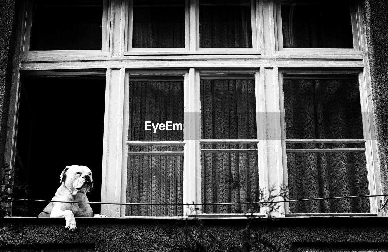 FULL LENGTH OF WOMAN STANDING BY WINDOW AGAINST BUILDING