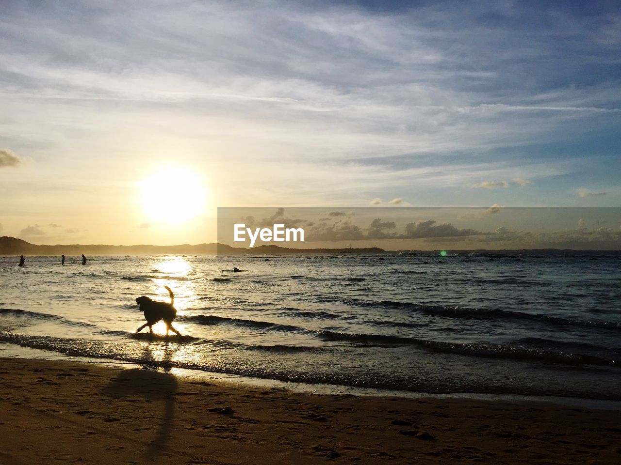 SCENIC VIEW OF SEA DURING SUNSET