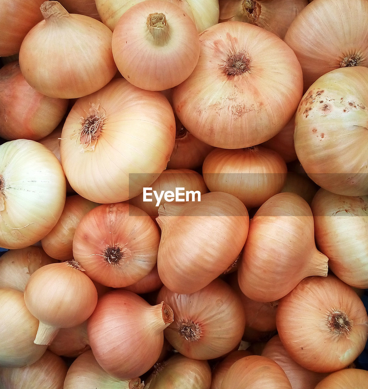 FULL FRAME SHOT OF PUMPKINS AND