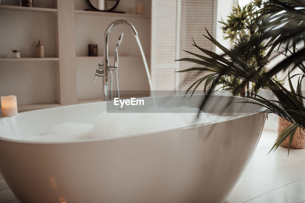 bathtub, home, domestic room, domestic bathroom, bathroom, indoors, home interior, room, luxury, hygiene, wealth, household equipment, faucet, lifestyles, nature, sink, plumbing fixture, no people, domestic life, home showcase interior, water, cleaning, bidet, elegance, flooring, floor, tile, relaxation, washing, tap, jacuzzi, plant, white, comfortable