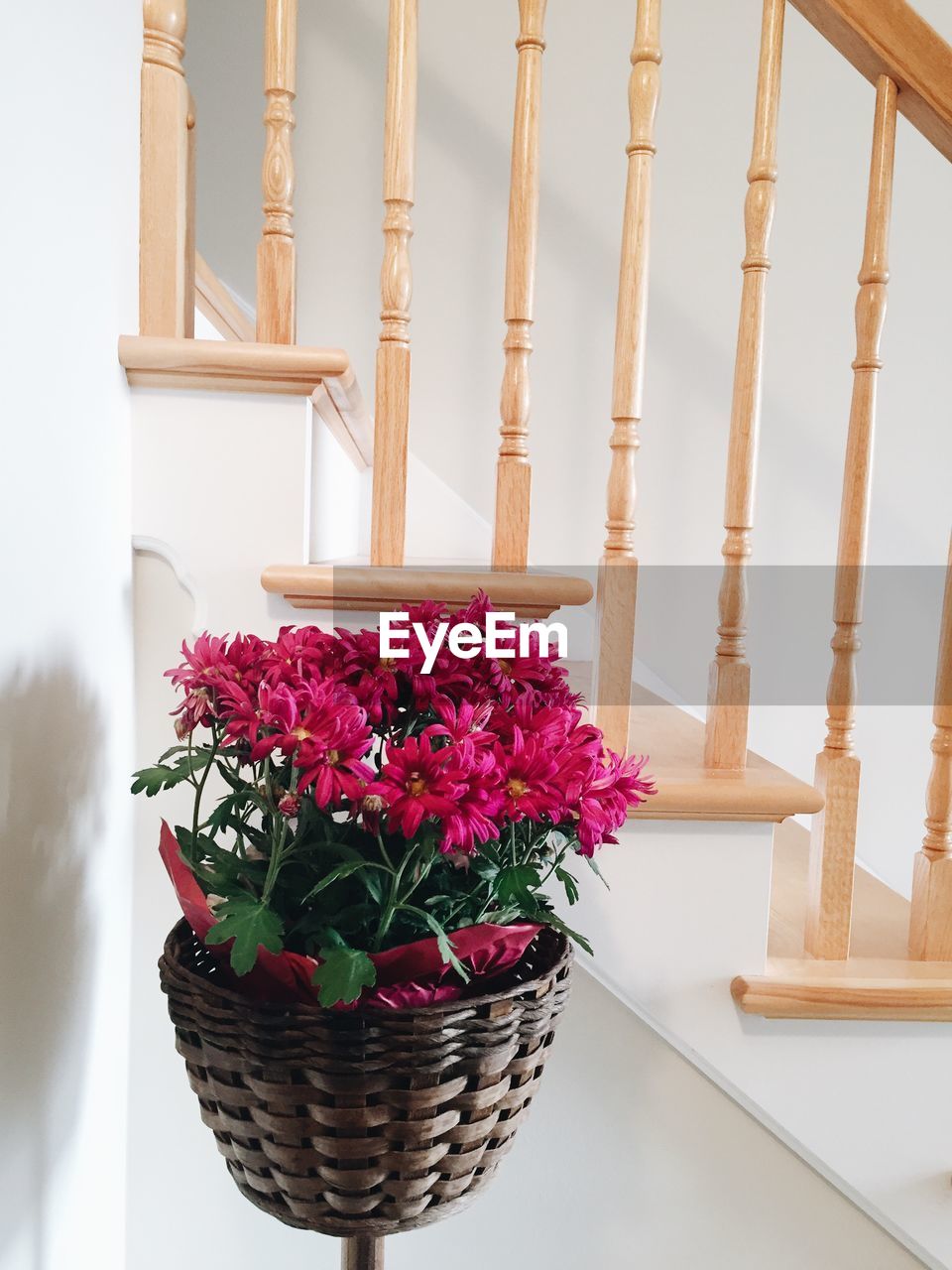 Pink flowers in wicker by steps at home