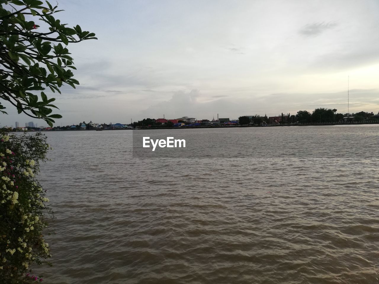 SCENIC VIEW OF RIVER BY TREES AGAINST SKY