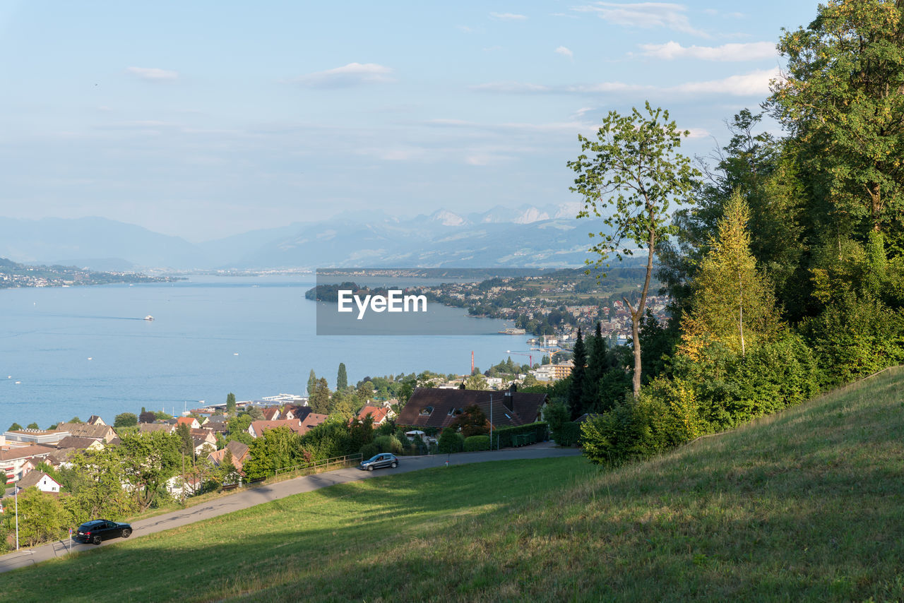 SCENIC VIEW OF SEA BY TREES AGAINST SKY