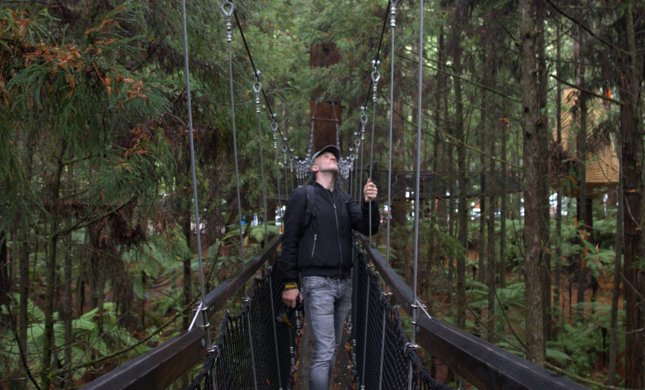 tree, forest, plant, one person, natural environment, land, leisure activity, nature, adult, standing, men, lifestyles, woodland, railing, full length, jungle, front view, growth, bridge, outdoors, rainforest, activity, casual clothing, wilderness, beauty in nature, clothing, young adult, travel, adventure, hiking, footbridge, green, canopy walkway, day, architecture, non-urban scene, person, trip, vacation