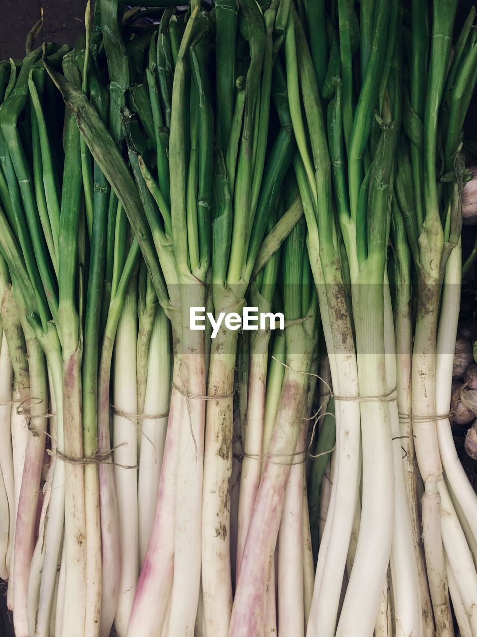 Full frame shot of vegetables long onion for sale in market. 