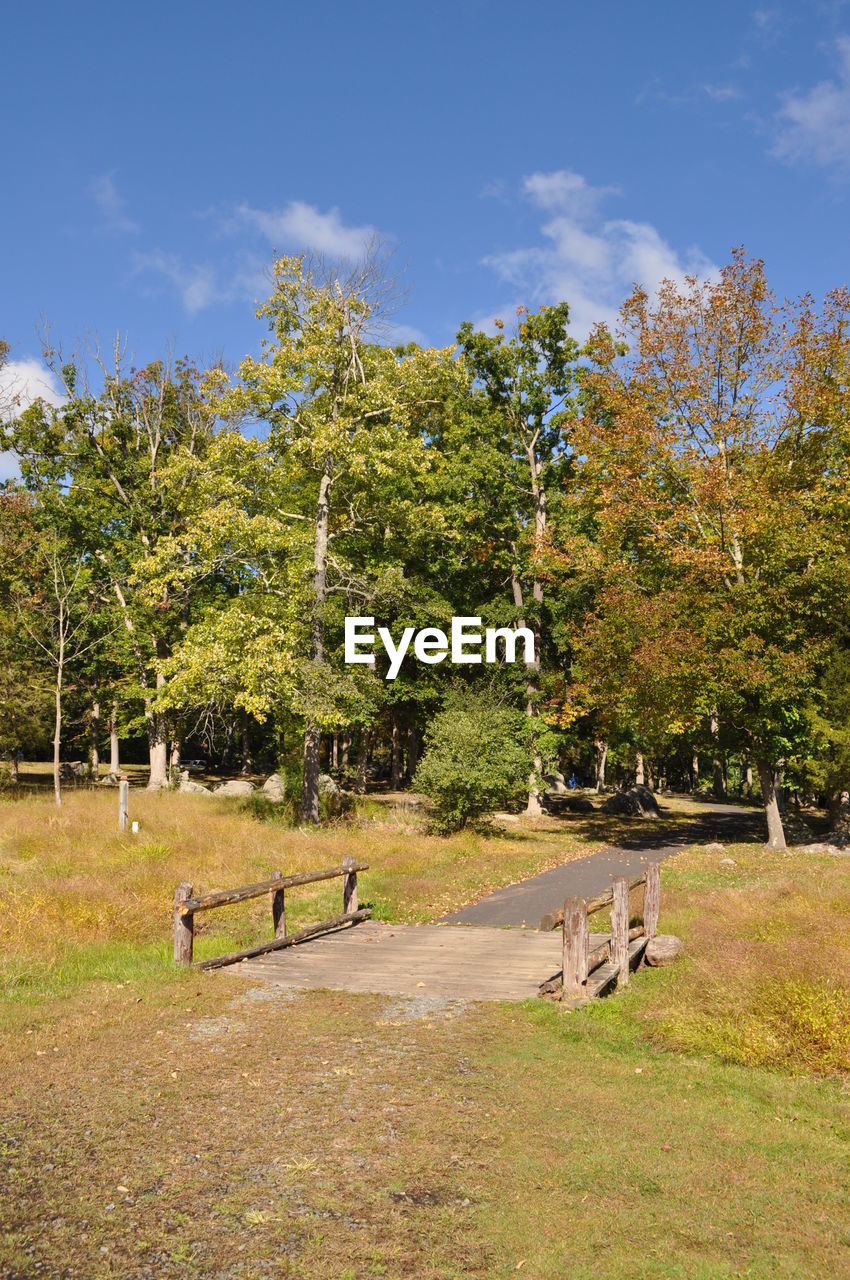 TREES IN PARK AGAINST SKY