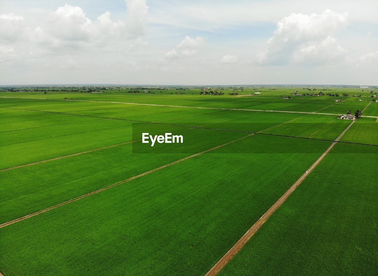 Aerial view of green agricultural field against sky