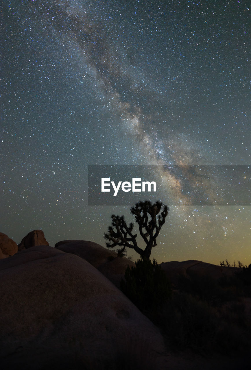 Milky way over joshua tree national park