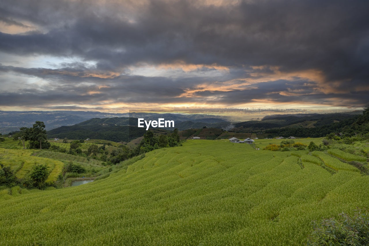 Scenic view of agricultural field against cloudy sky