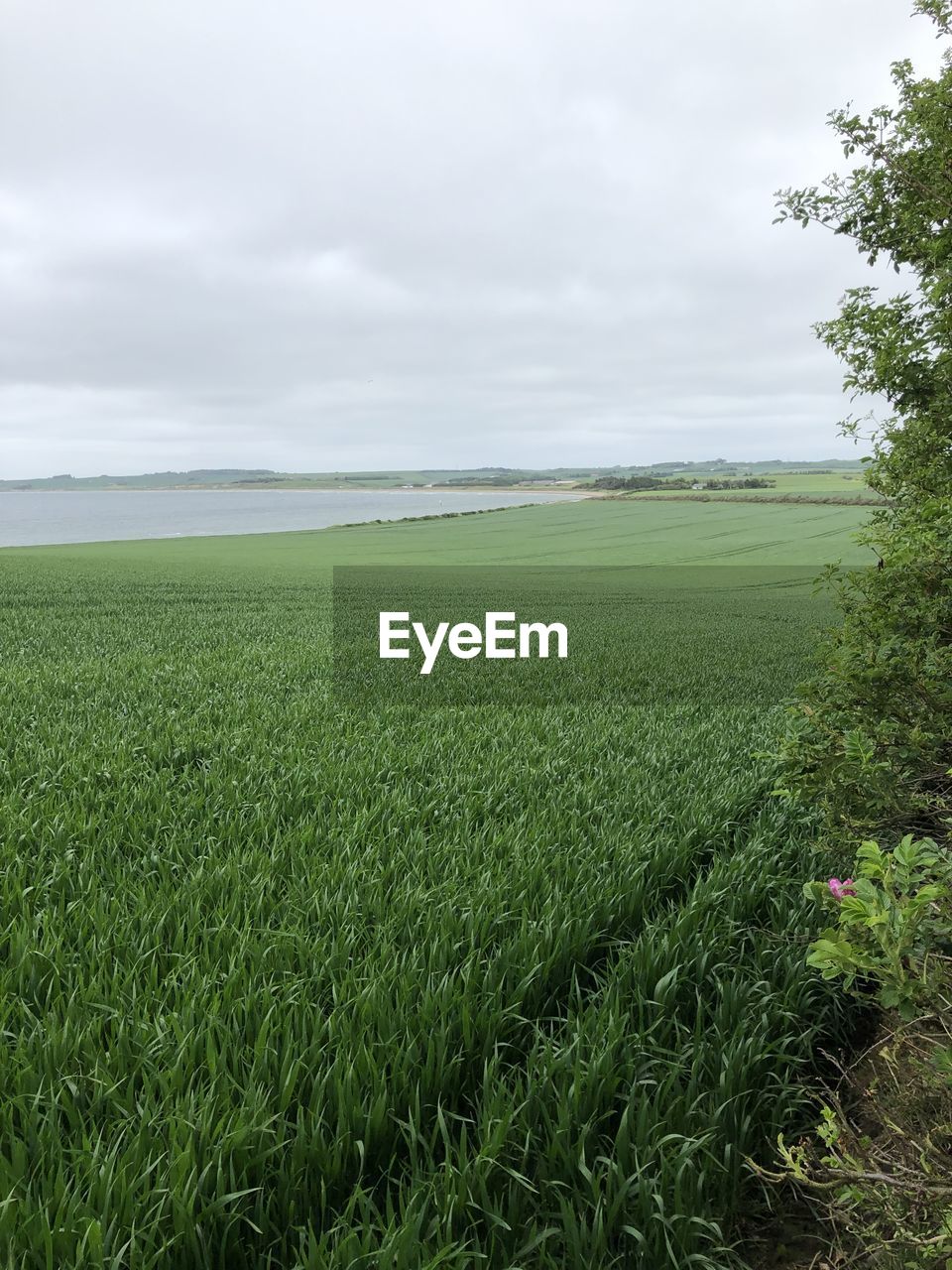 SCENIC VIEW OF FARM AGAINST SKY