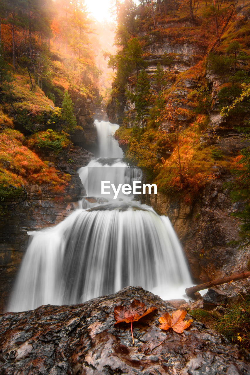 VIEW OF WATERFALL IN FOREST