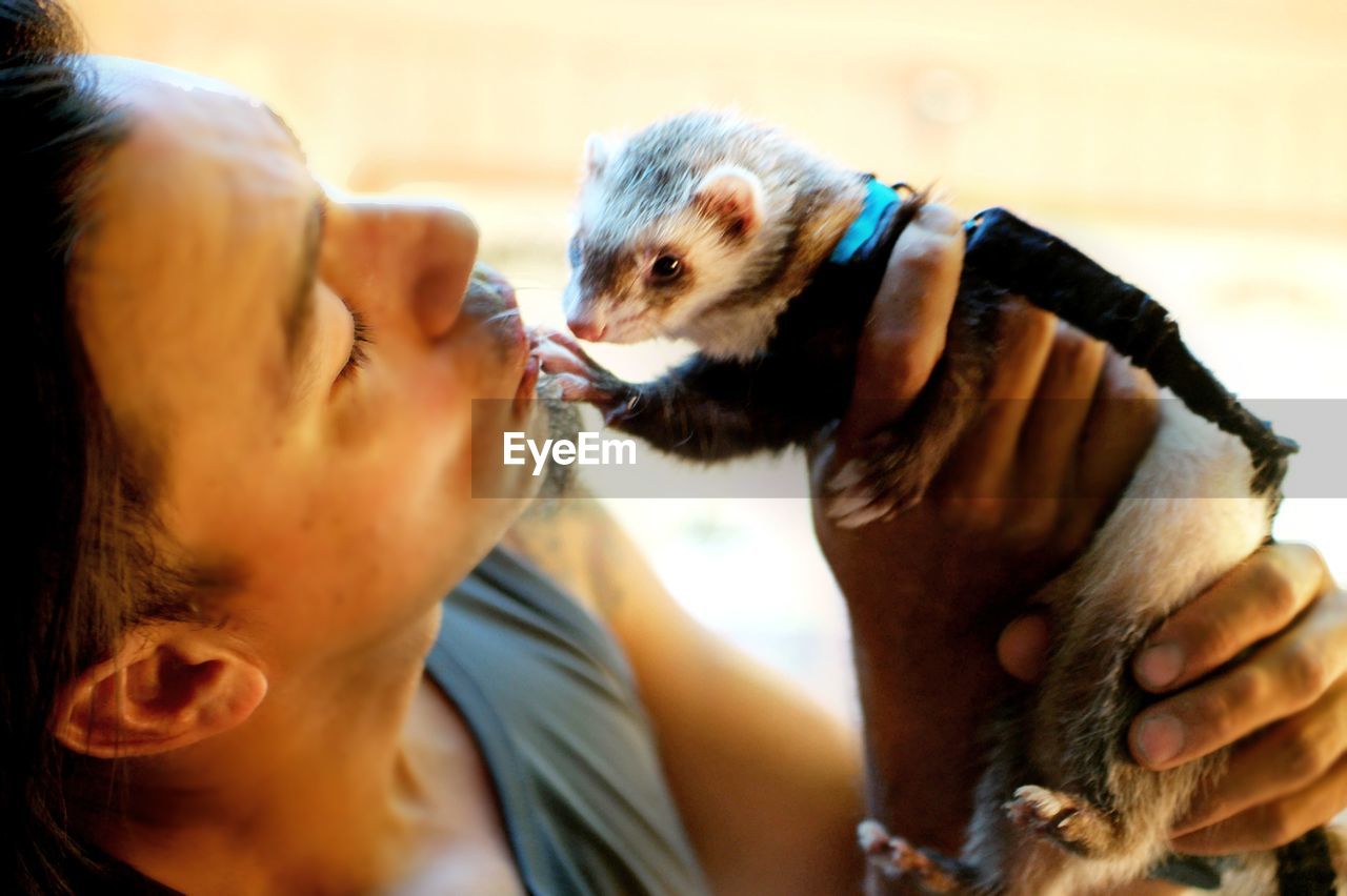 Close-up of man playing with ferret