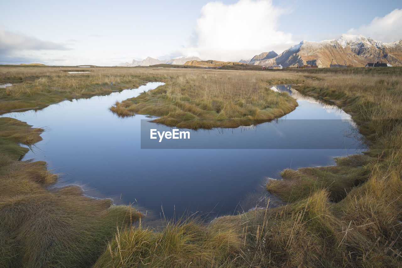 Meander in a meadow north of the lofoten islands