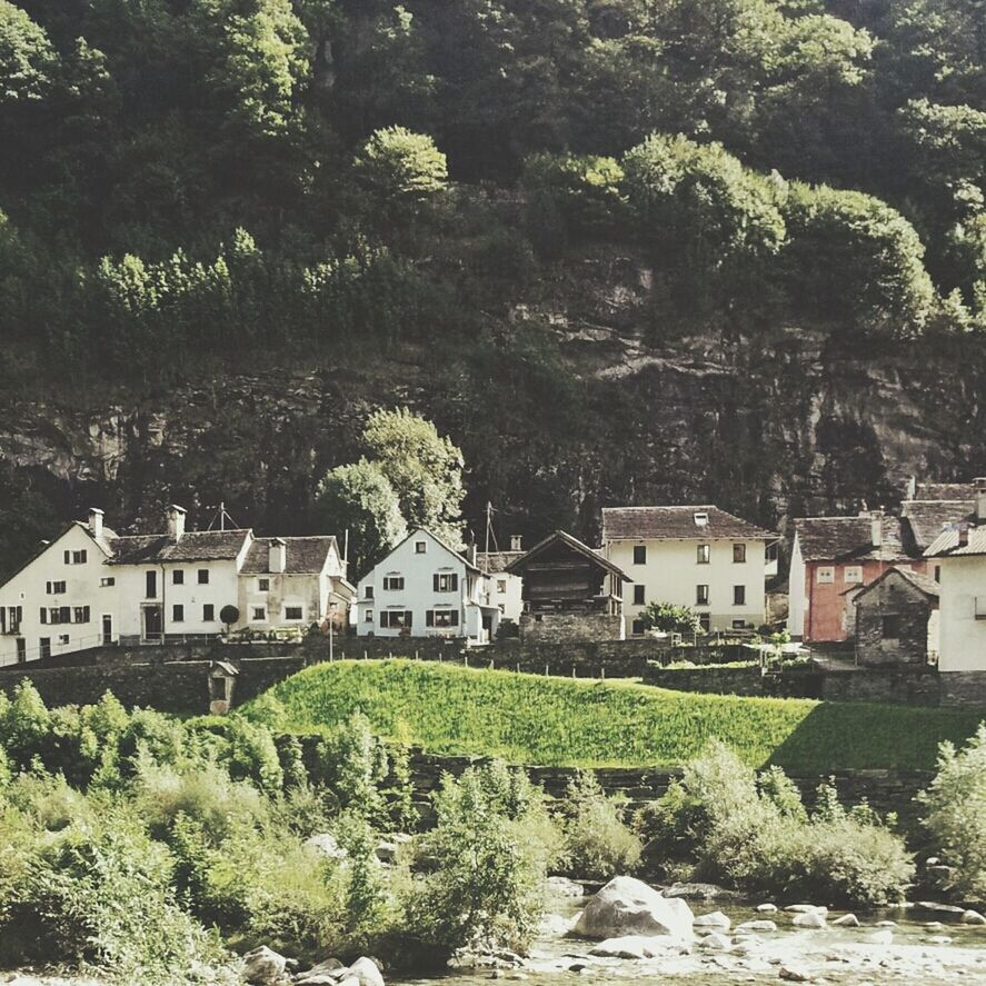 VIEW OF TREES AND BUILDINGS