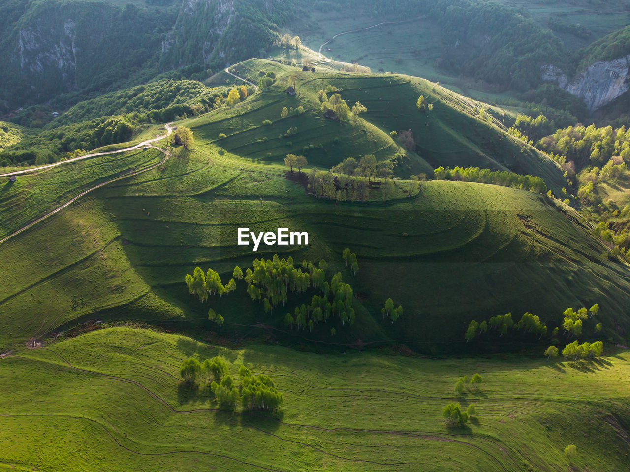 Summer green landscape in the transylvanian hills, apuseni mountains