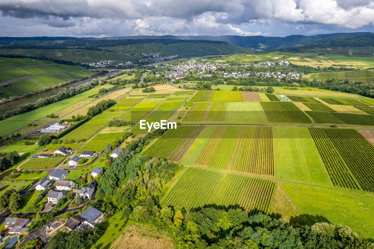 AERIAL VIEW OF AGRICULTURAL LANDSCAPE