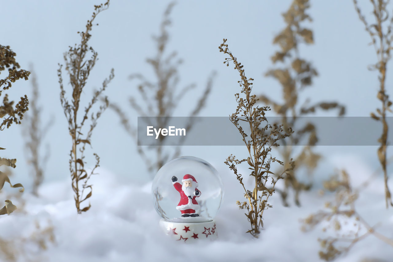 Close-up of santa claus figurine in snow globe amidst plants during winter