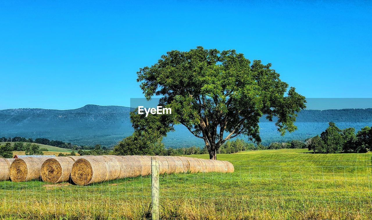 View of hay bales on field against blue sky