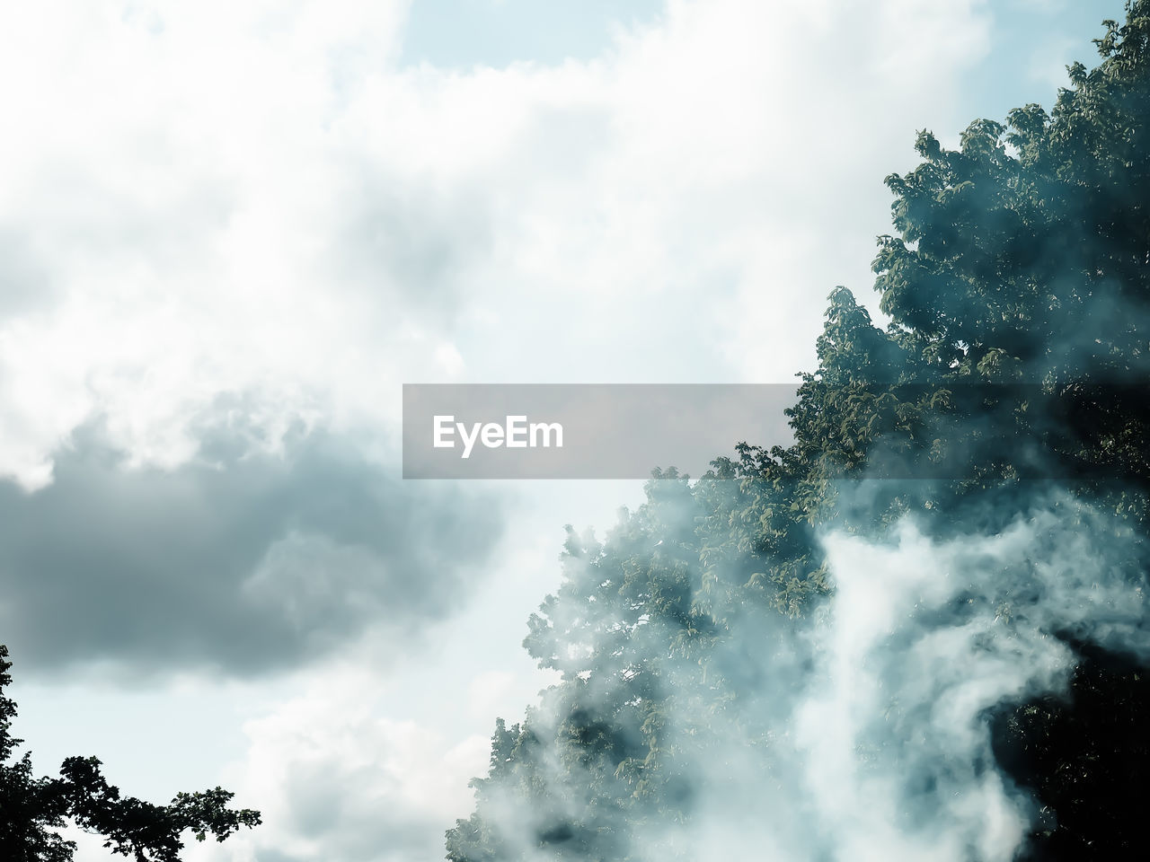 Low angle view of trees against cloudy sky