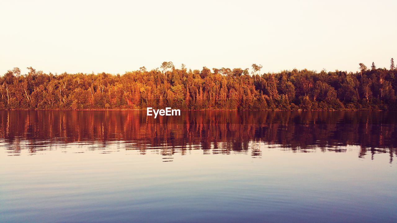 Reflection of trees in lake against sky