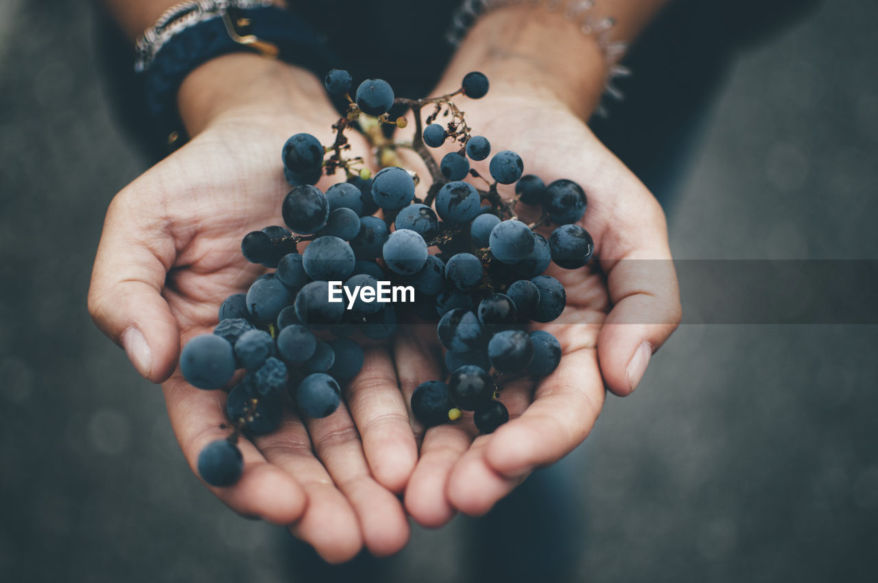 Cropped image of person holding grapes