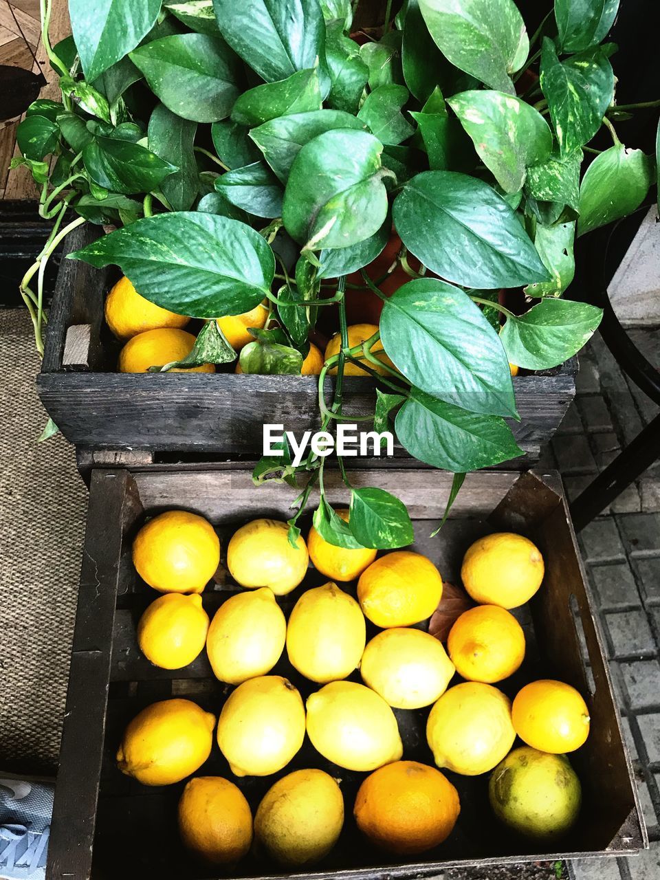 HIGH ANGLE VIEW OF FRESH FRUITS