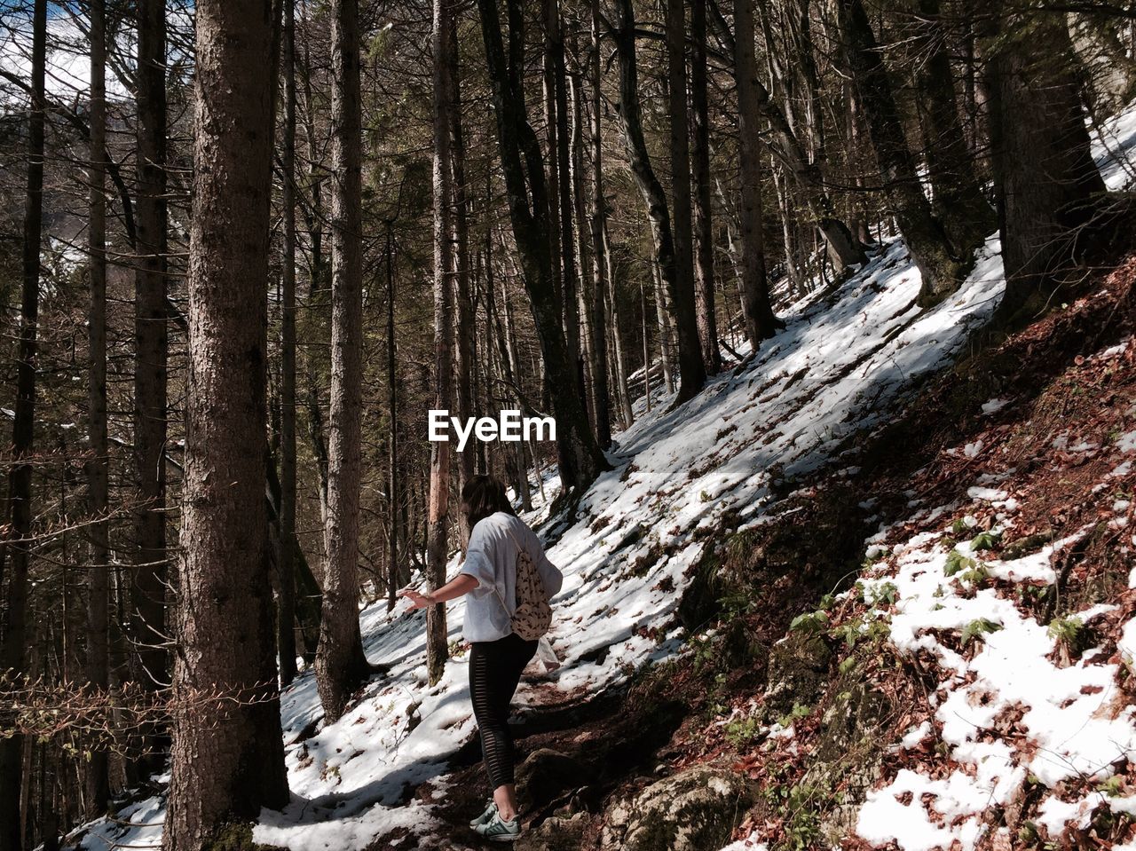 Female hiker by trees on mountain during winter