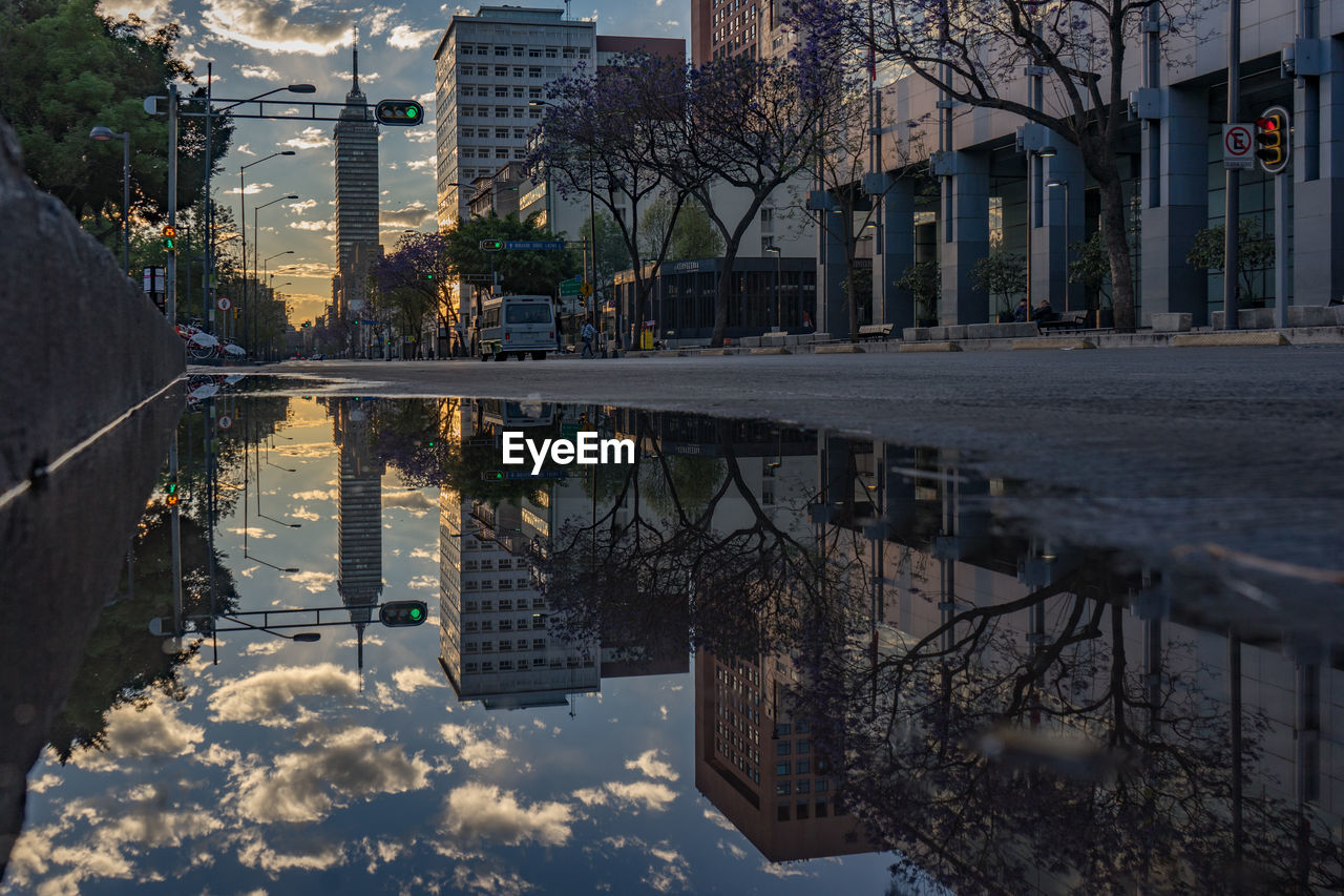 Torre latinoamericana reflection in puddle on street