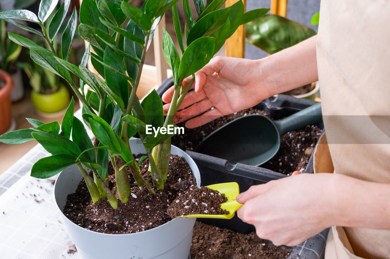 midsection of woman gardening in back yard