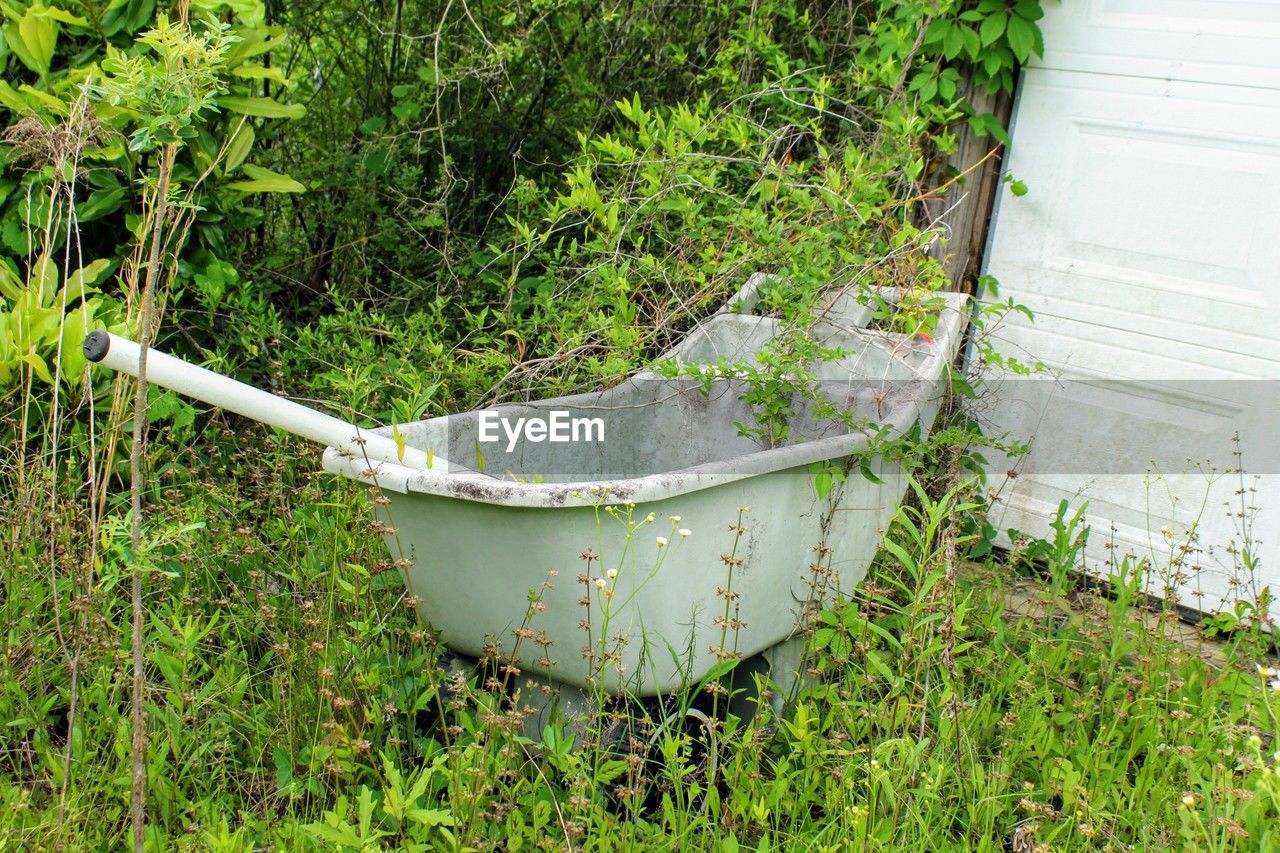 plant, grass, green, growth, lawn, nature, garden, day, no people, gardening equipment, front or back yard, land, gardening, yard, backyard, outdoors, field, watering can, bucket, container, abandoned, high angle view, bathroom, metal, wheelbarrow