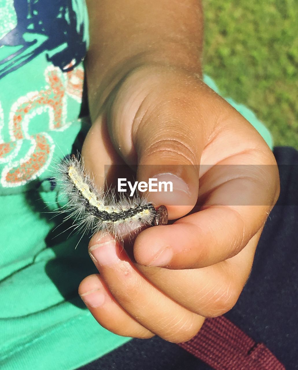 Close-up of hand holding worm