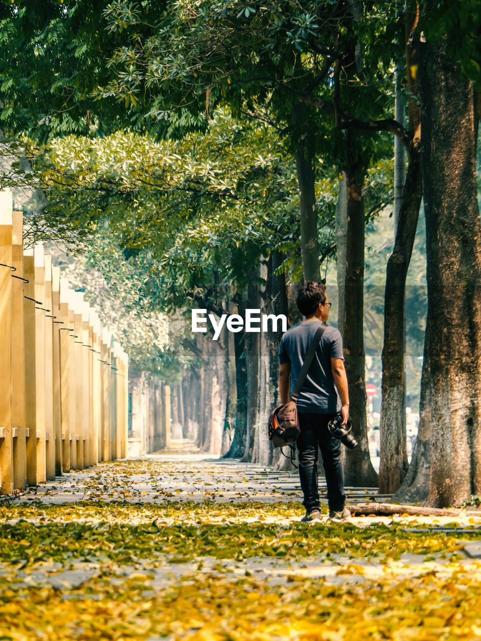 Rear view full length of man standing by trees on sidewalk