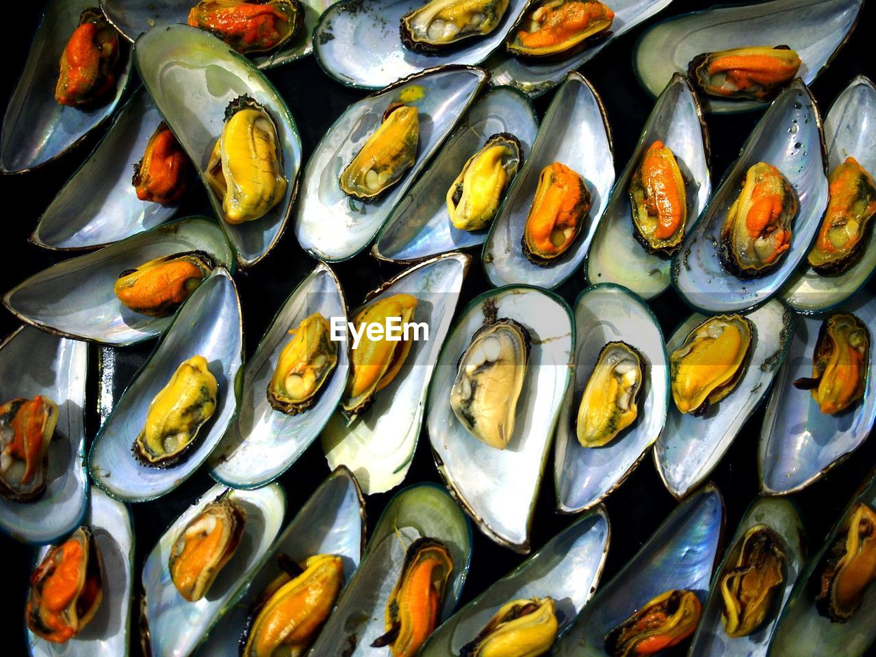 High angle view of mussels for sale