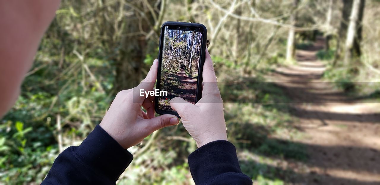 Cropped image of person photographing trees in forest