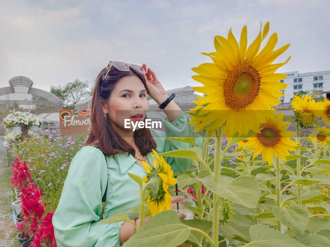 Portrait of woman standing amidst sunflowers