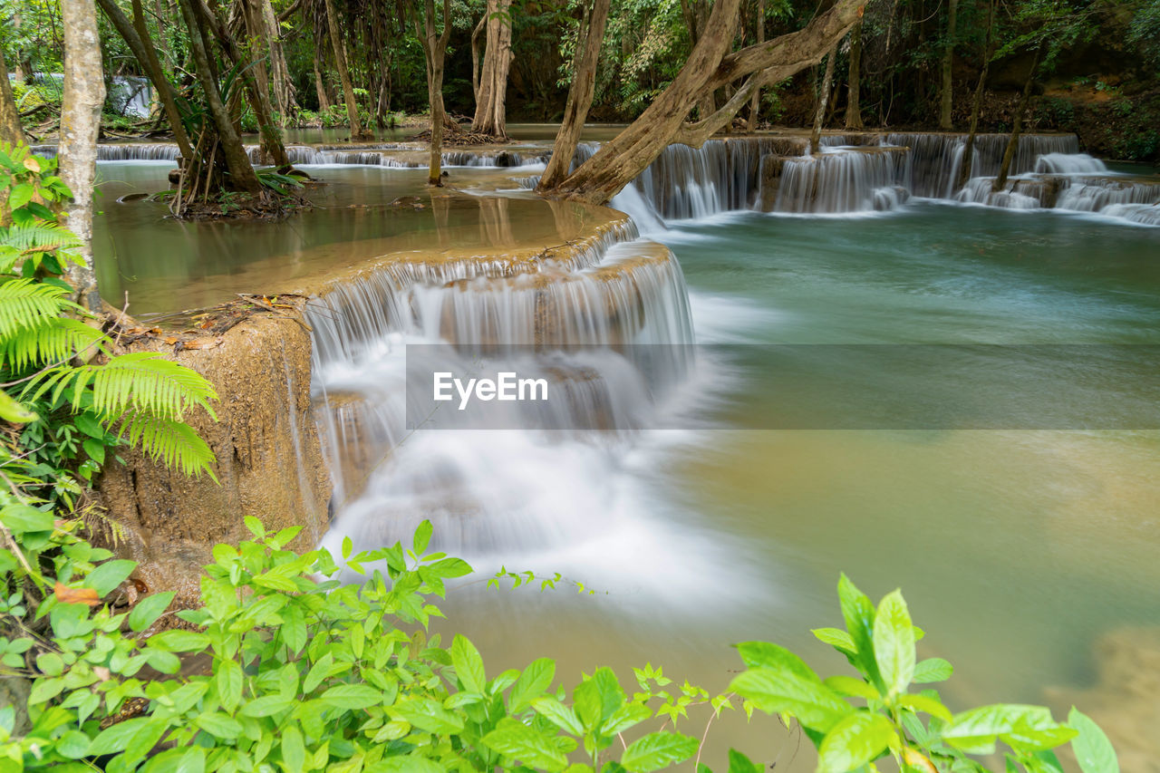water, beauty in nature, plant, watercourse, waterfall, scenics - nature, tree, body of water, nature, forest, environment, stream, river, motion, land, water feature, tropical climate, flowing water, rainforest, water resources, long exposure, travel destinations, no people, landscape, outdoors, environmental conservation, jungle, non-urban scene, travel, flowing, social issues, tourism, creek, leaf, idyllic, green, plant part, natural environment, tropical tree, tranquility, blurred motion, tranquil scene, rock, foliage, lush foliage