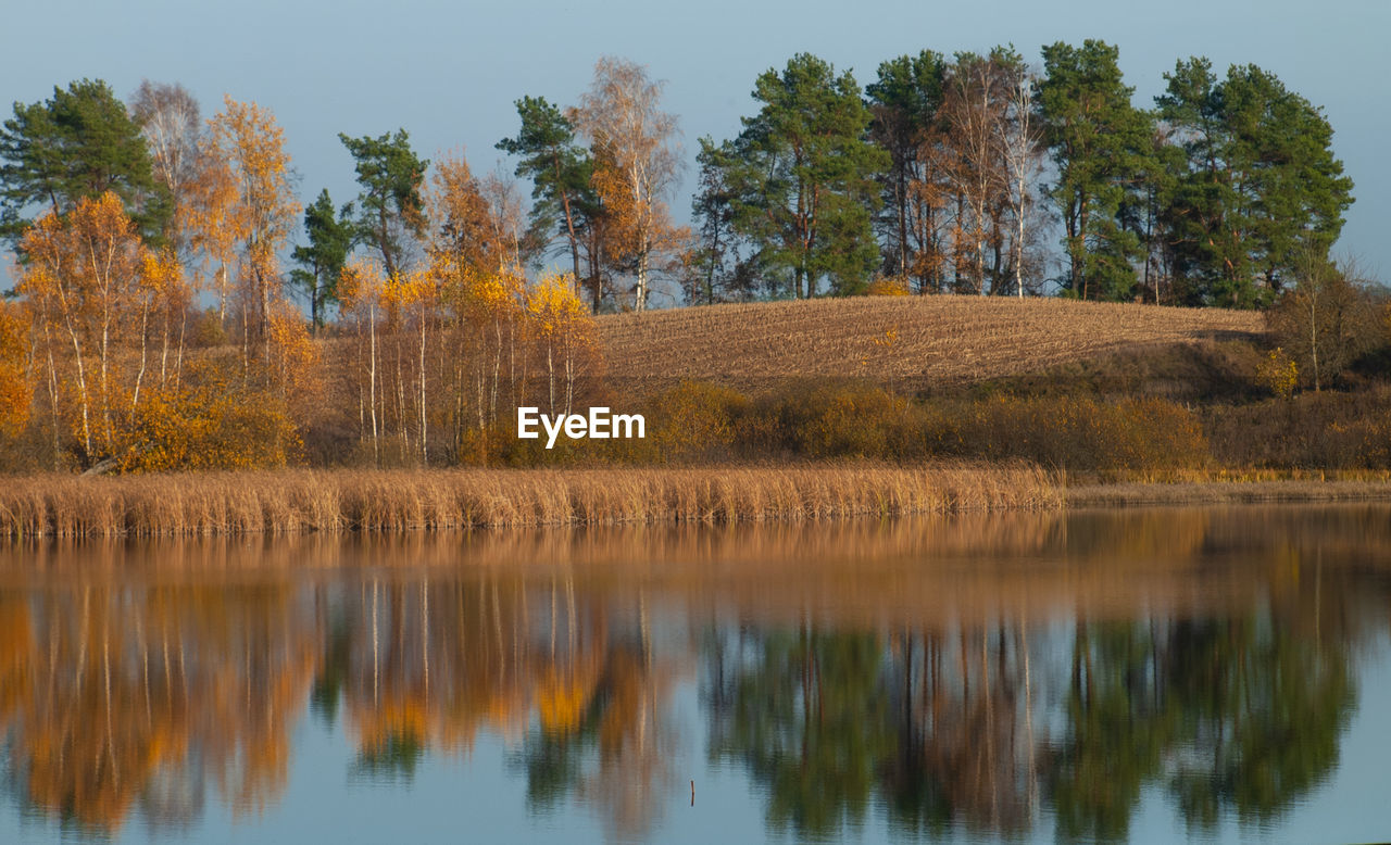 Reflection of trees in lake against sky