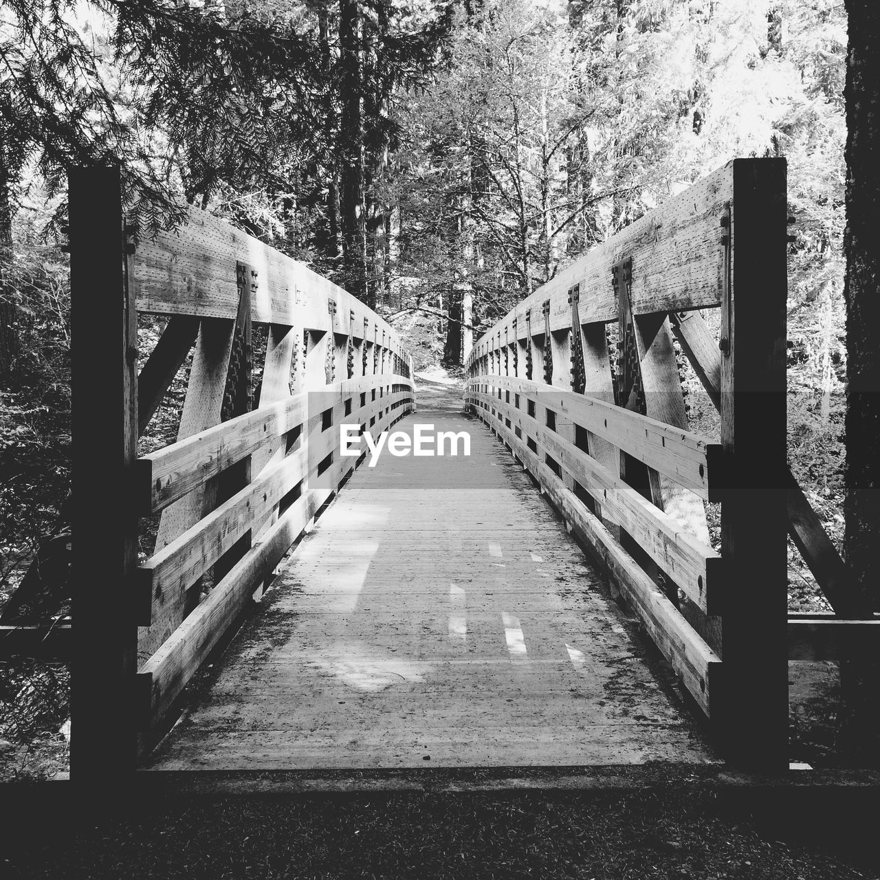 Footbridge leading towards forest
