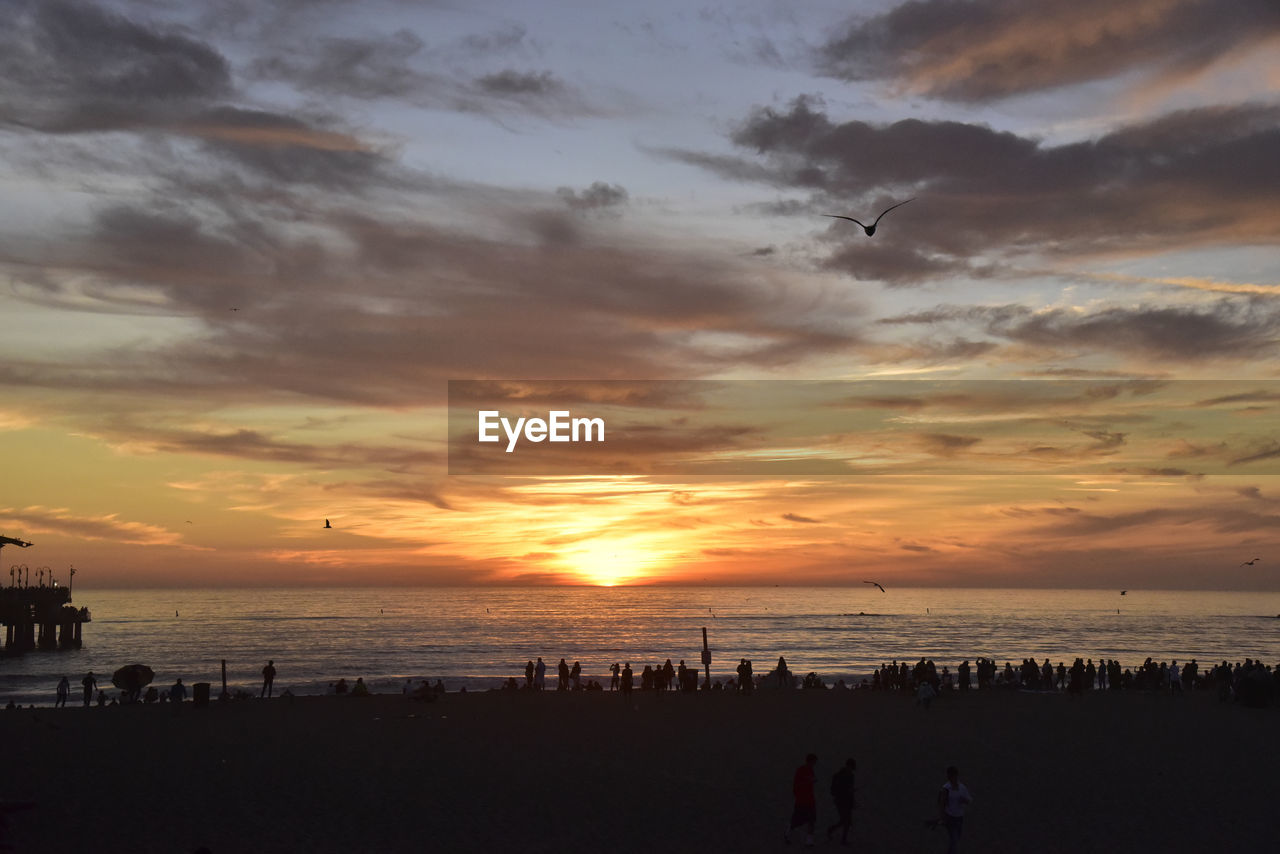 SILHOUETTE OF PEOPLE ON BEACH