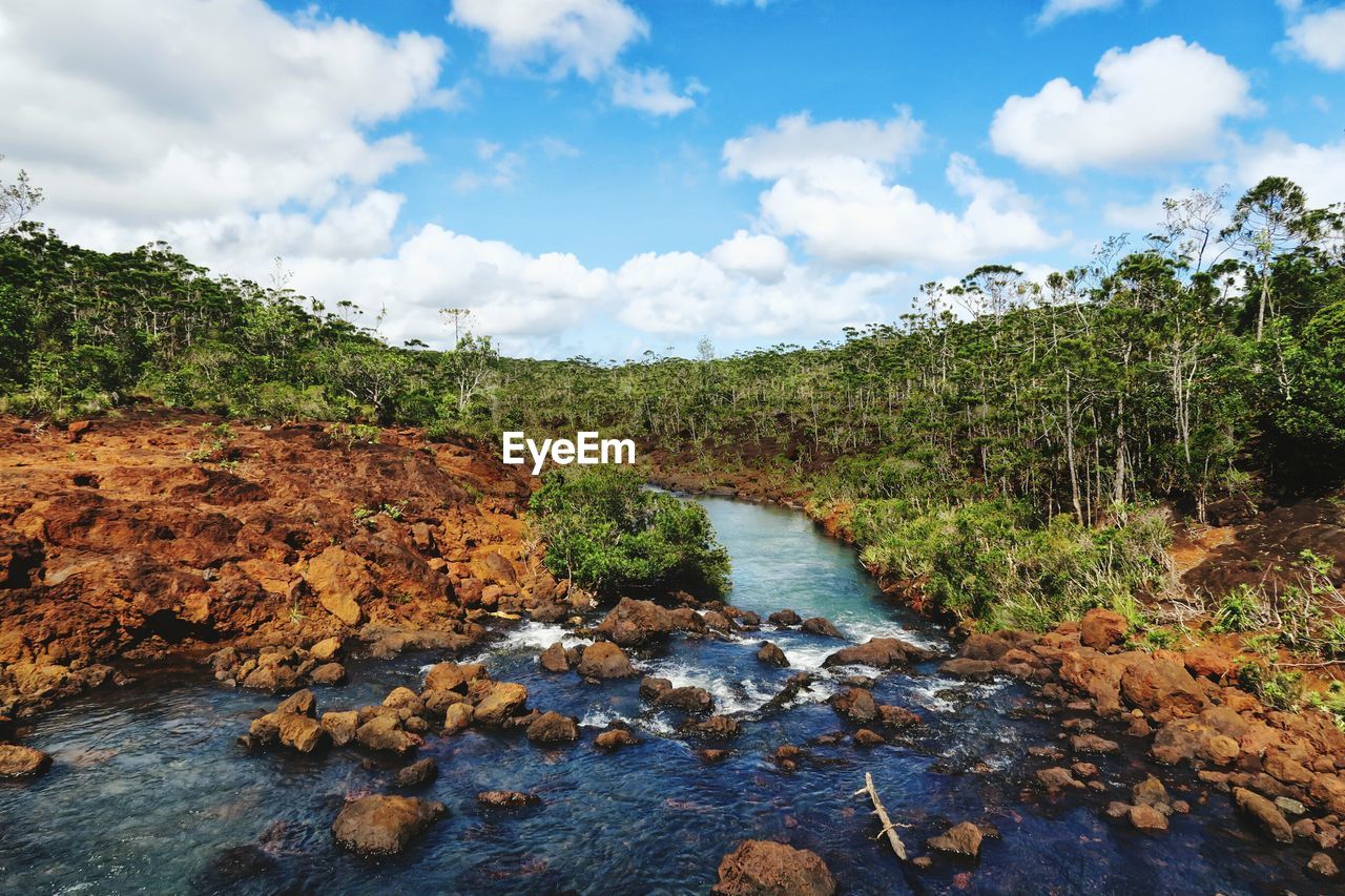 Scenic view of stream amidst trees against sky