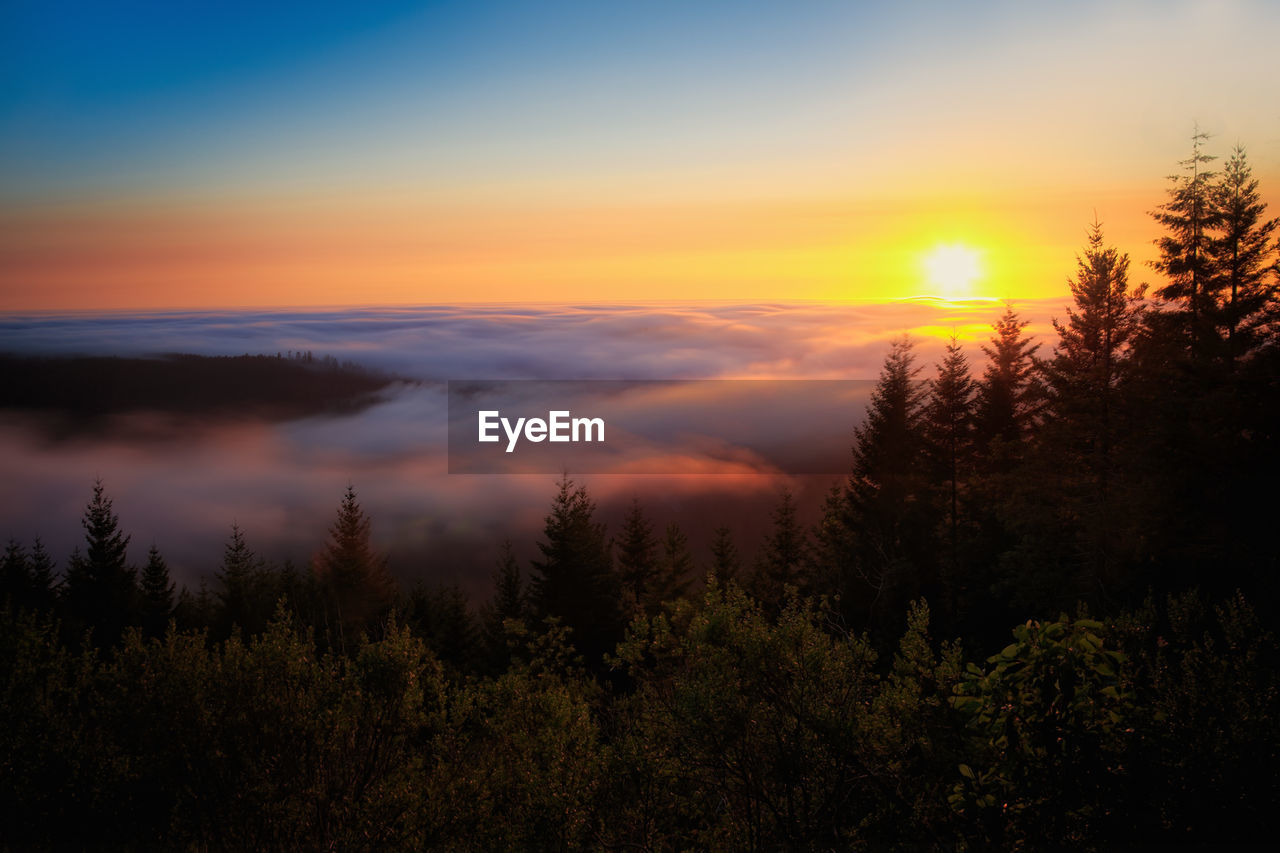 Scenic view of dramatic sky over forest during sunset