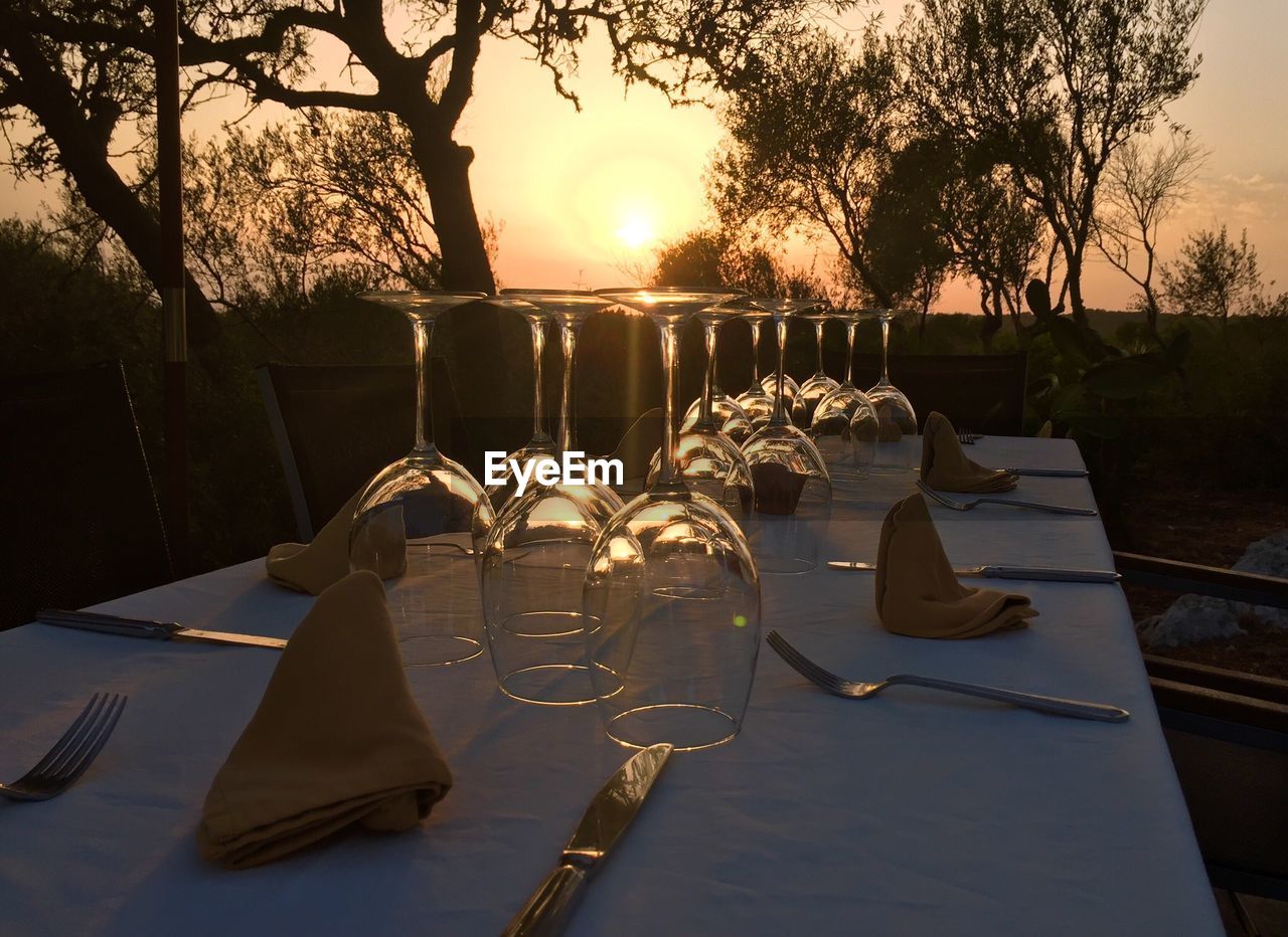 TABLE BY TREES AGAINST SKY