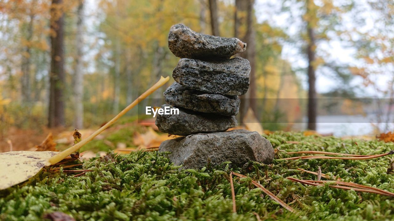 CLOSE-UP OF STONE STACK ON ROCK AT FOREST
