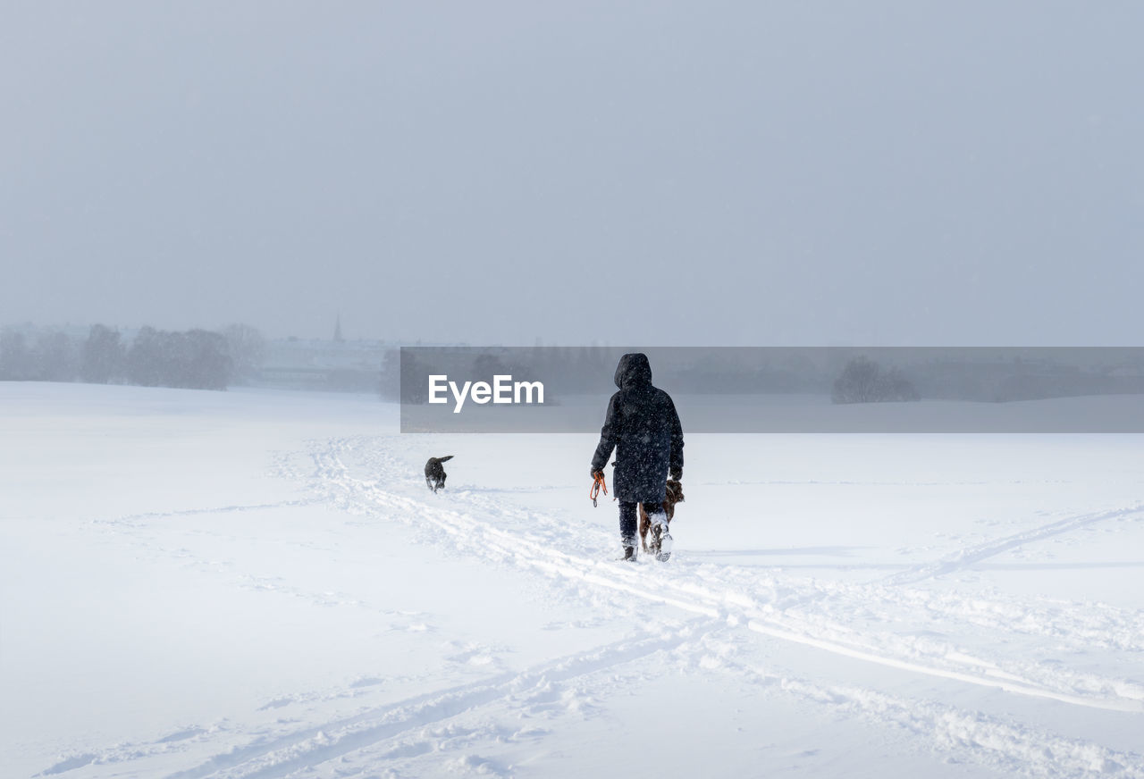 Rear view of person taking the dogs for a walk on a windy, cold, and snowy day