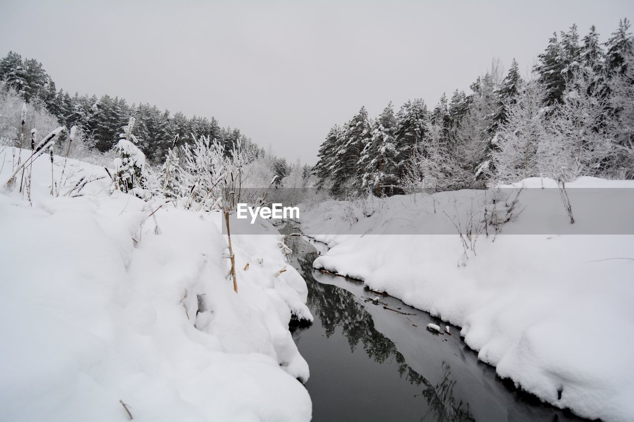 snow, cold temperature, winter, tree, environment, scenics - nature, nature, landscape, beauty in nature, plant, forest, freezing, coniferous tree, frozen, land, water, tranquil scene, pinaceae, tranquility, pine tree, sky, pine woodland, no people, non-urban scene, mountain, woodland, white, travel, travel destinations, polar climate, outdoors, day, ice, tourism, blizzard, lake, evergreen tree, rural scene, idyllic