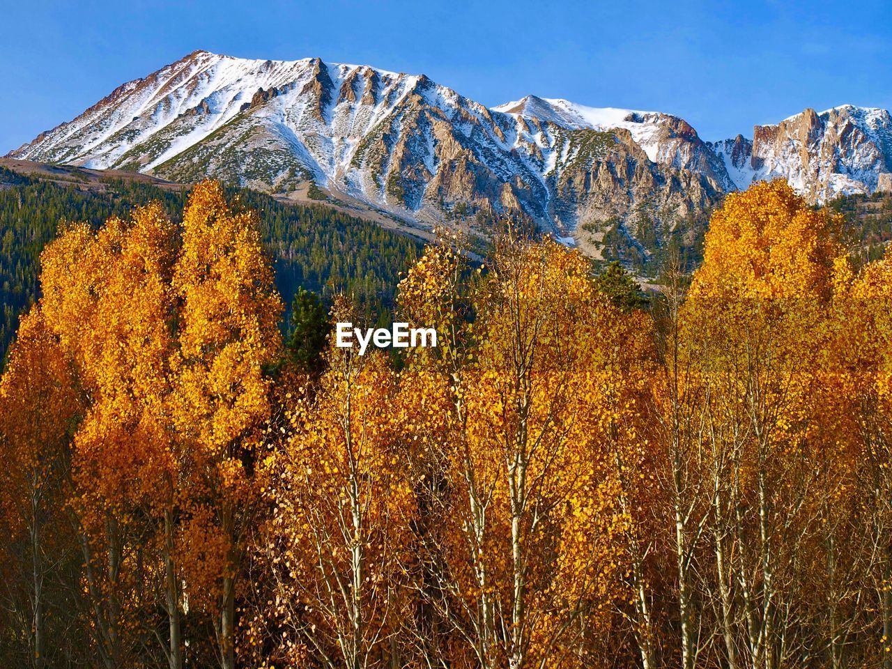 Scenic view of snowcapped mountains during autumn