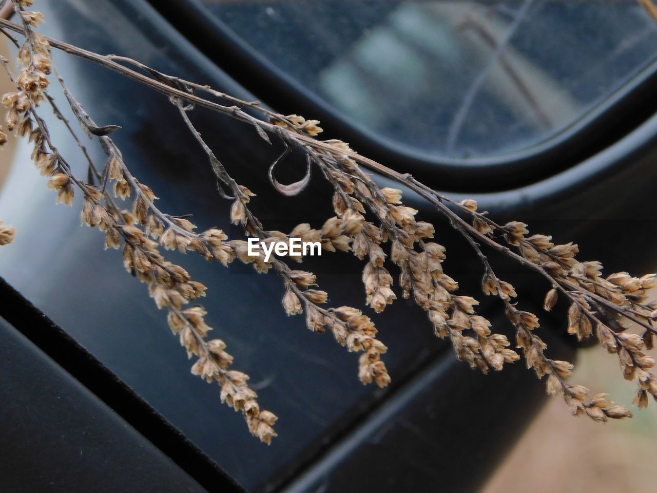 HIGH ANGLE VIEW OF ROPE TIED UP ON METAL