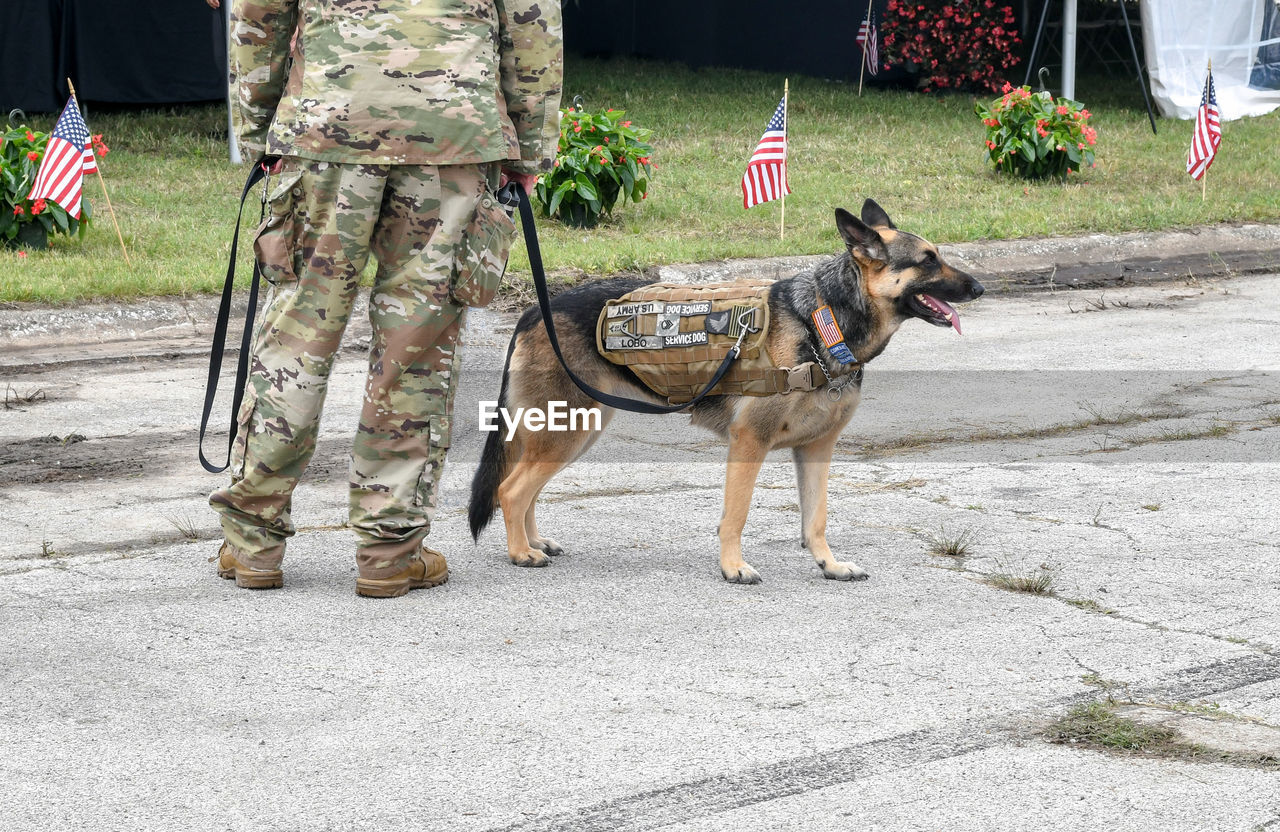 A soldier walks his military dog on a leash, both man and animal in uniform during an event