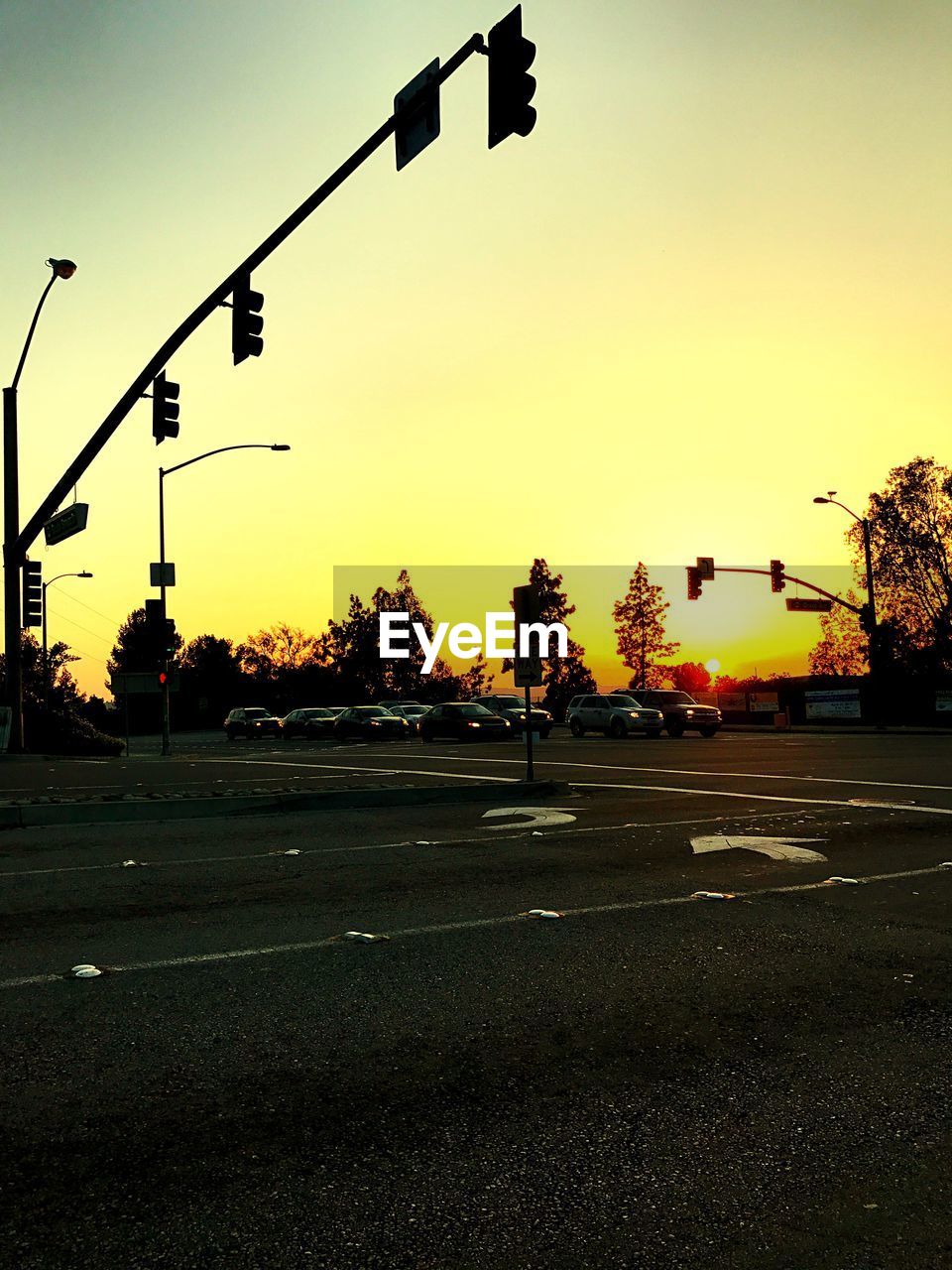 Silhouette of trees at sunset